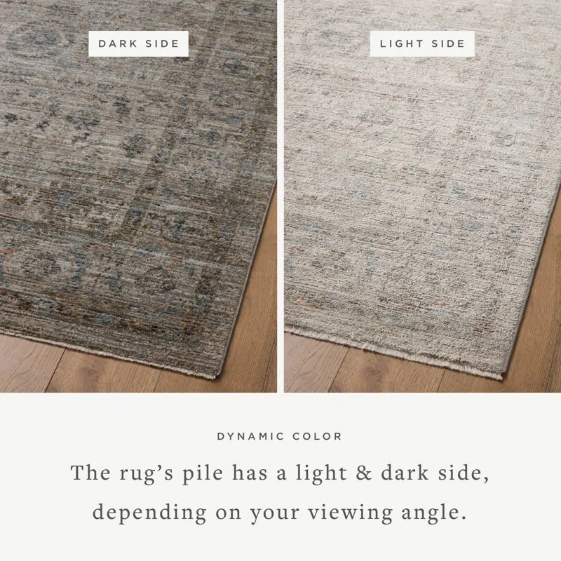 Jean Stoffer x Loloi Katherine Beige / Mist Area Rug | Wayfair North America