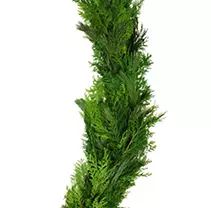 Garland, Mixed Pine & Cedar (25 ft.) | Sam's Club