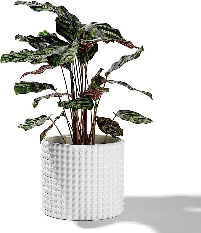 White Planter Pots for Plants Indoor - 6.1 Inch Ceramic Vintage-Style Hobnail Textured Flower Pot... | Amazon (US)