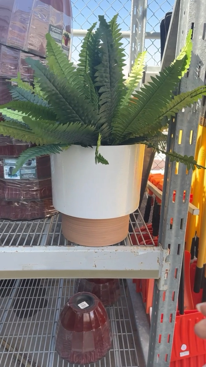 Walmart outdoor planter and faux ferns! 

#LTKunder50 #LTKhome