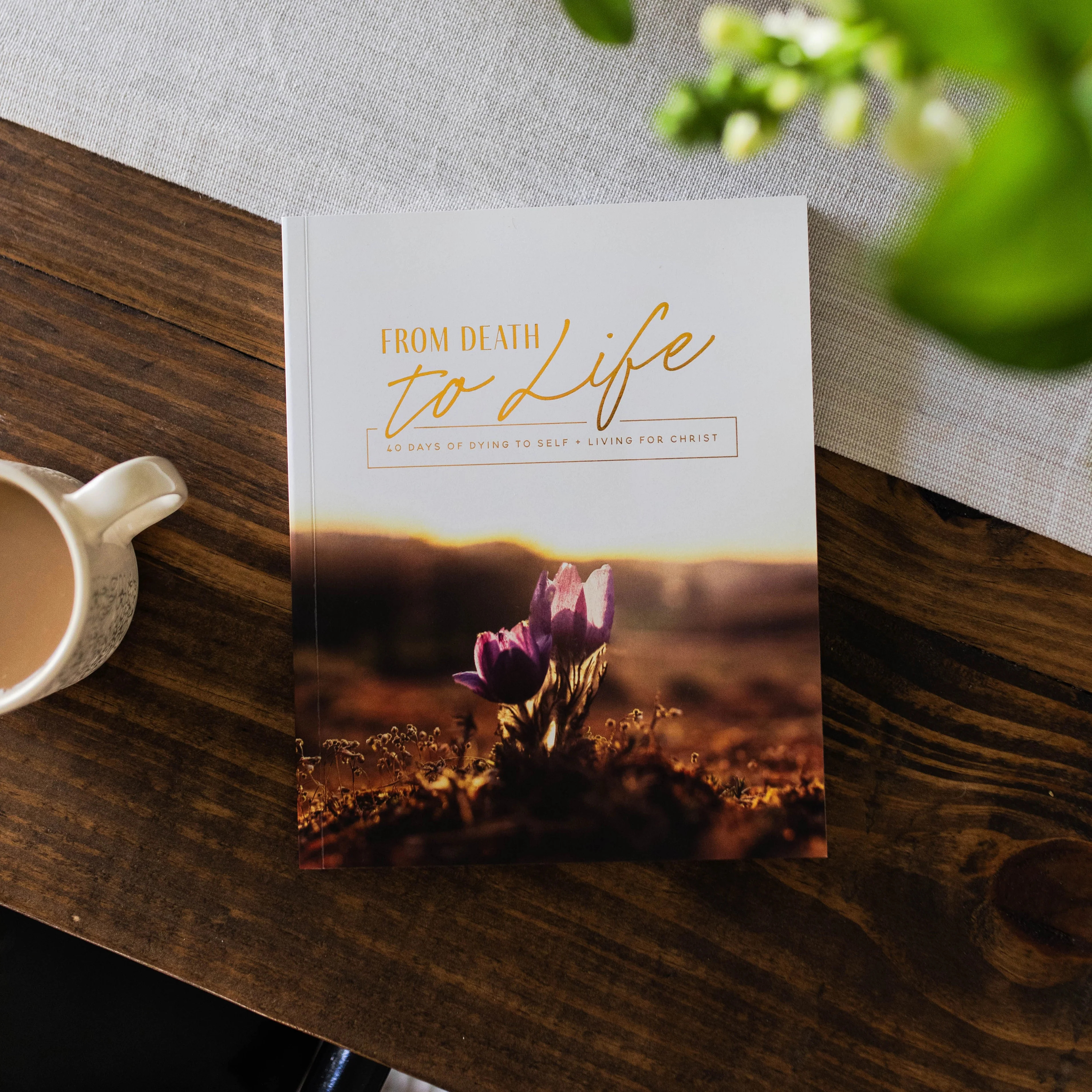 From Death to Life | 40 Days of Dying to Self and Living for Christ | The Daily Grace Co.