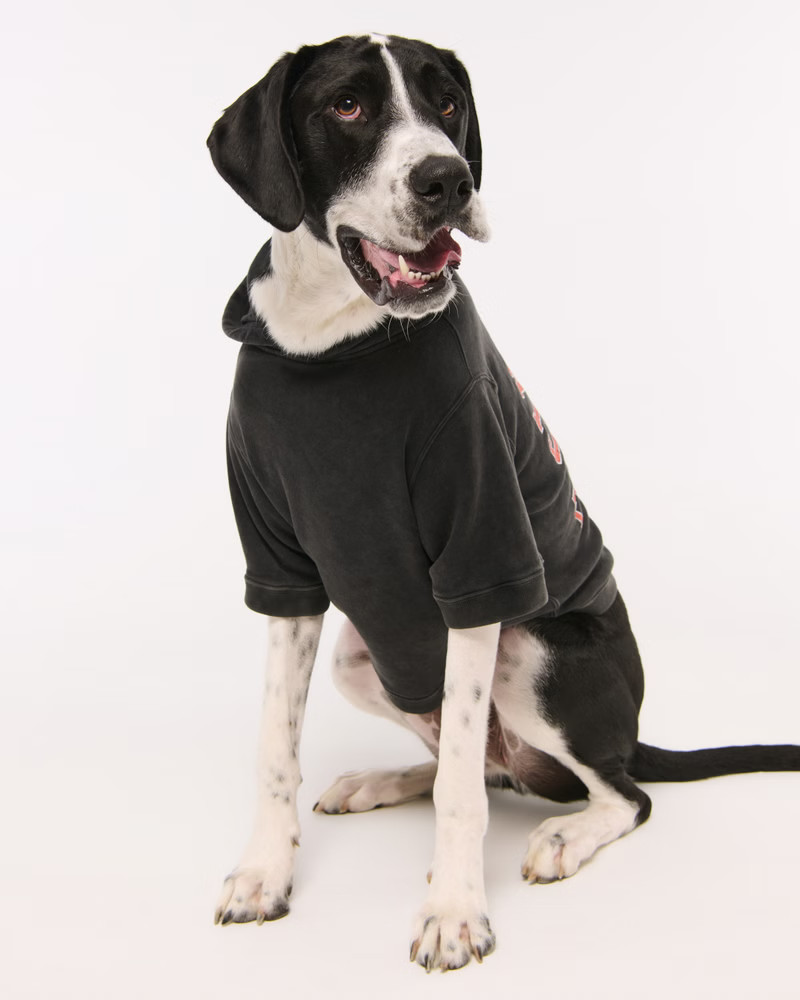 Women's Cincinnati Bengals Pet Pupover | Women's Accessories | Abercrombie.com | Abercrombie & Fitch (US)