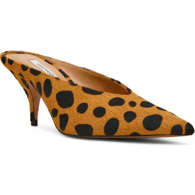 Steve Madden Fonza Pointed Toe Mule in Spot Leopard at Nordstrom, Size 9.5 | Nordstrom