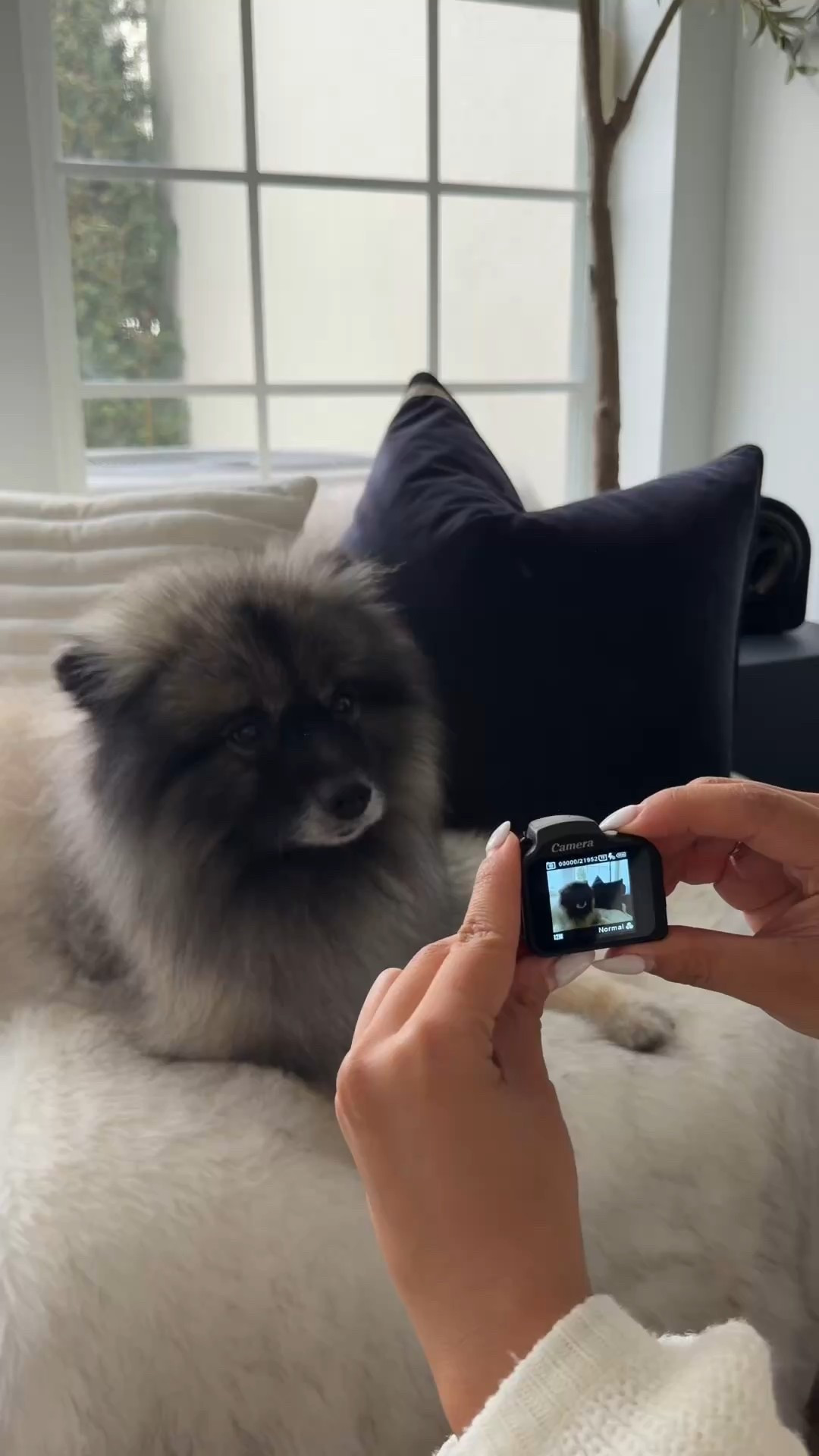 tiny camera, big main character energy 📸✨ this mini cam lives on my keys and captures the cutest memories on the go and it’s only $30, which feels unreal for how fun it is

#amazonfinds #giftideas #techfinds #travelmusthave #minicamera