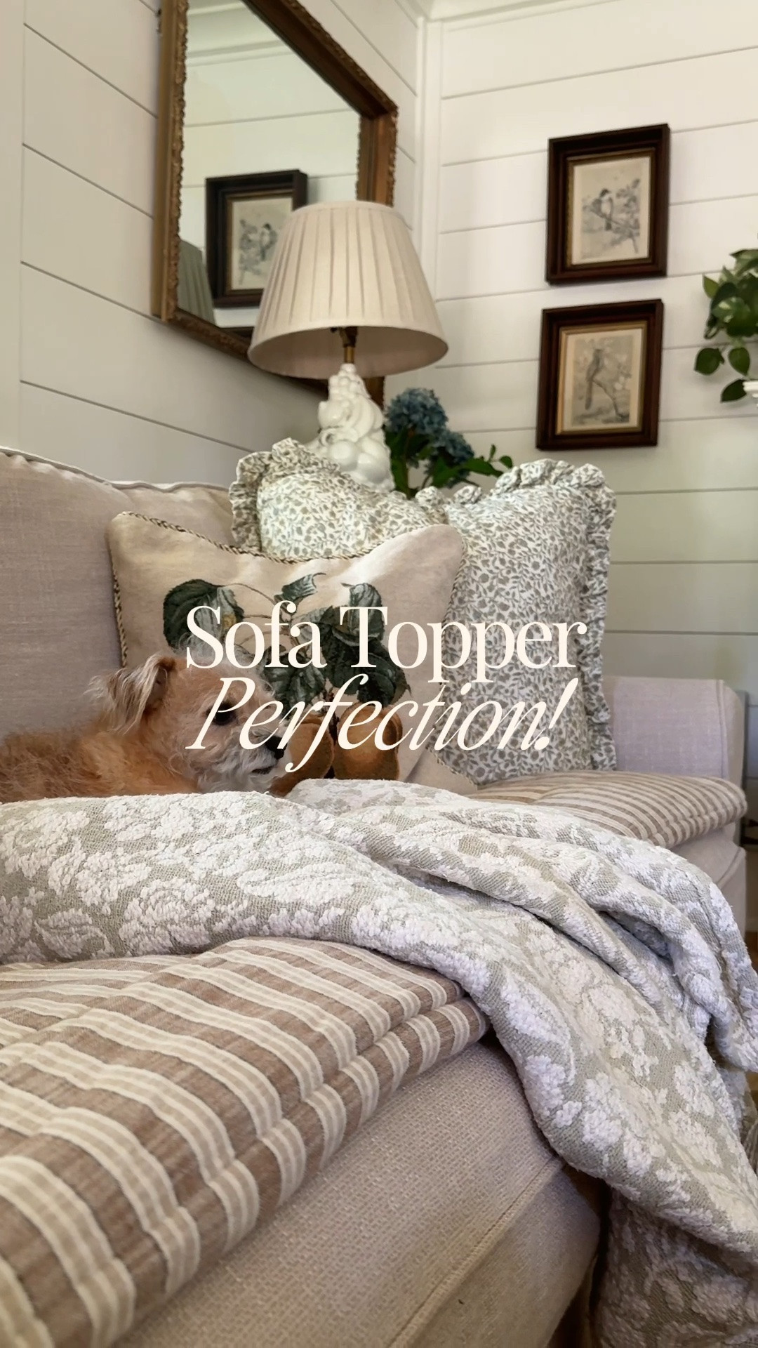 I’ve been searching for the perfect sofa topper for months, and I finally found one! 🤎 The neutral stripe blends beautifully with my sofa, the price was so good, and clearly the dogs already approve. 😂

It’s such an easy way to protect your sofa from pets, kids, and everyday messes—and hopefully means I won’t have to wash those slipcovers nearly as often because we all know what a pain in the butt that is. 

#SofaTopper #PetFriendlyHome #CozyHomeDecor #CottageStyleHome #AffordableHomeFinds @Target @Woven Nook

#LTKHome #LTKgrwm #LTKdayinmylife