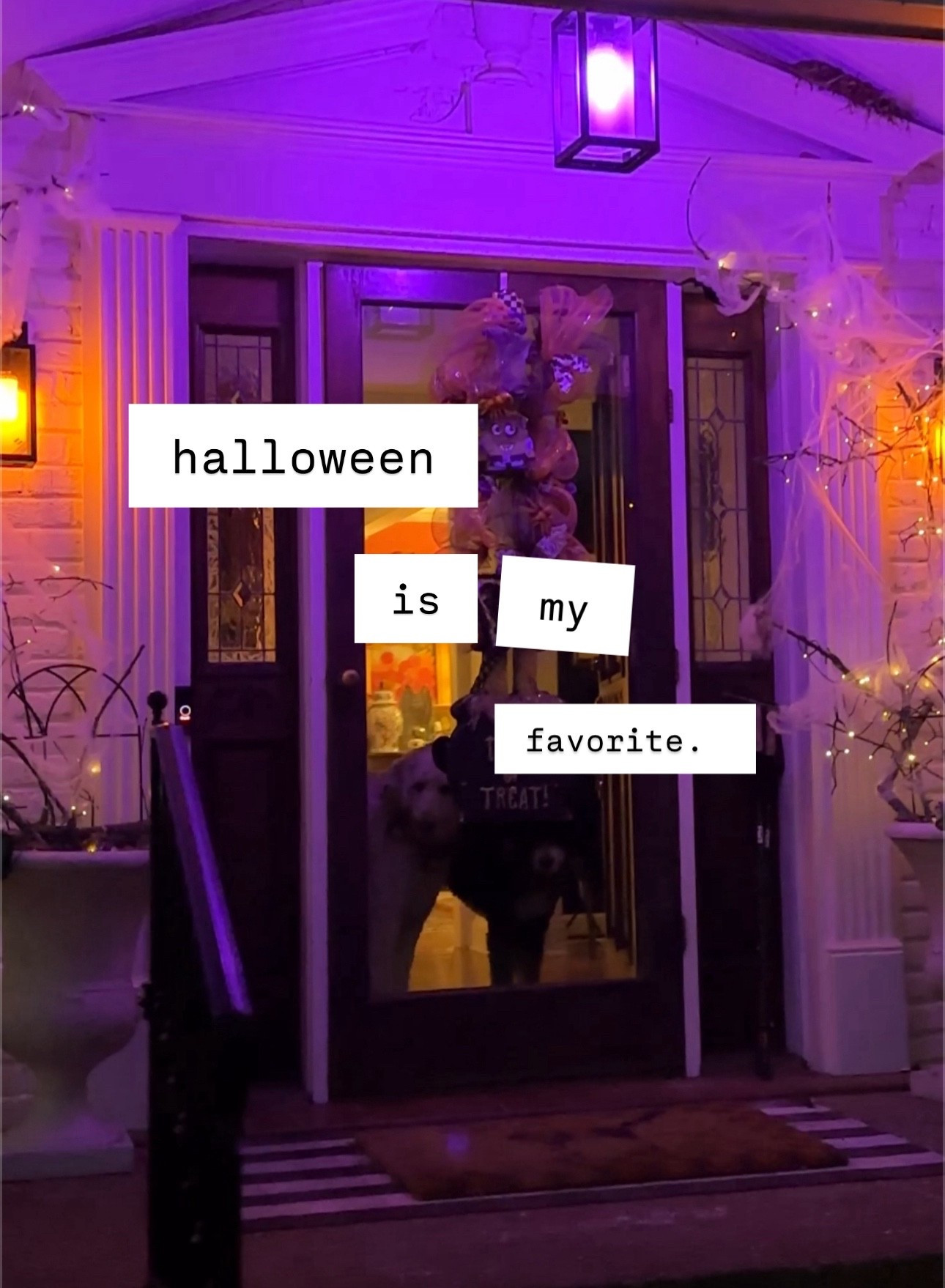 Affordable, impactful halloween decorations 

#LTKSeasonal #LTKFamily #LTKHome