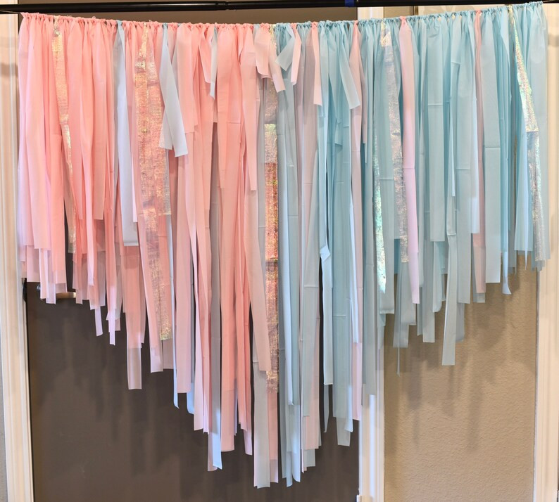 Gender Reveal Fringe Backdropbaby Shower Fringe Backdrop | Etsy | Etsy (US)