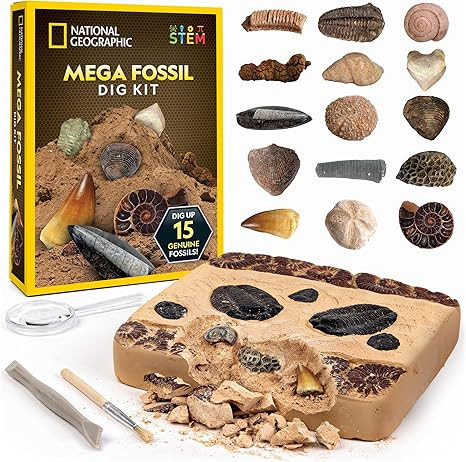 National Geographic Mega Fossil Dig Kit - Excavate 15 Genuine Prehistoric Fossils, Kids Fossil Ki... | Amazon (US)
