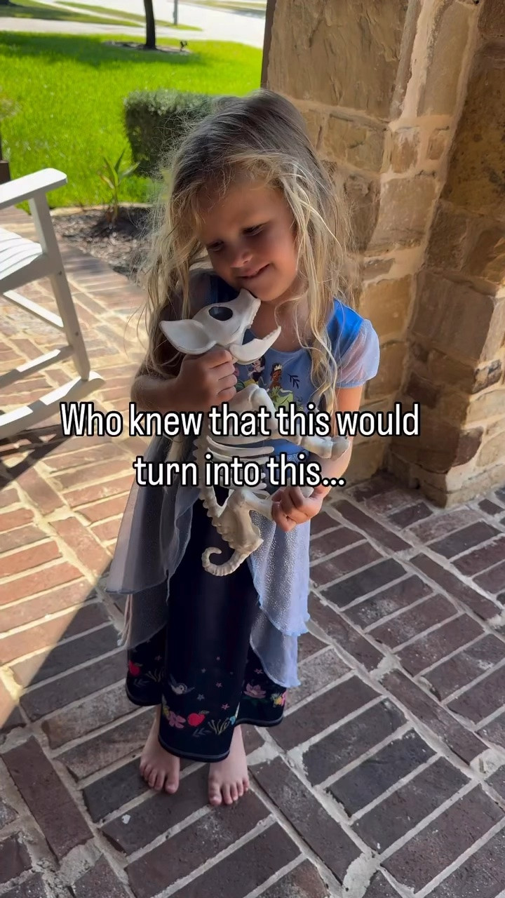 My kids love their animal skeletons. The pig is old, but we have a chicken, T-Rex and French bulldog which are still made! 

Halloween decor, Halloween finds, mom of 4

#LTKSeasonal #LTKHome #LTKmomlife
