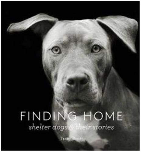 Finding Home: Shelter Dogs and Their Stories (A photographic tribute to rescue dogs) | Amazon (US)