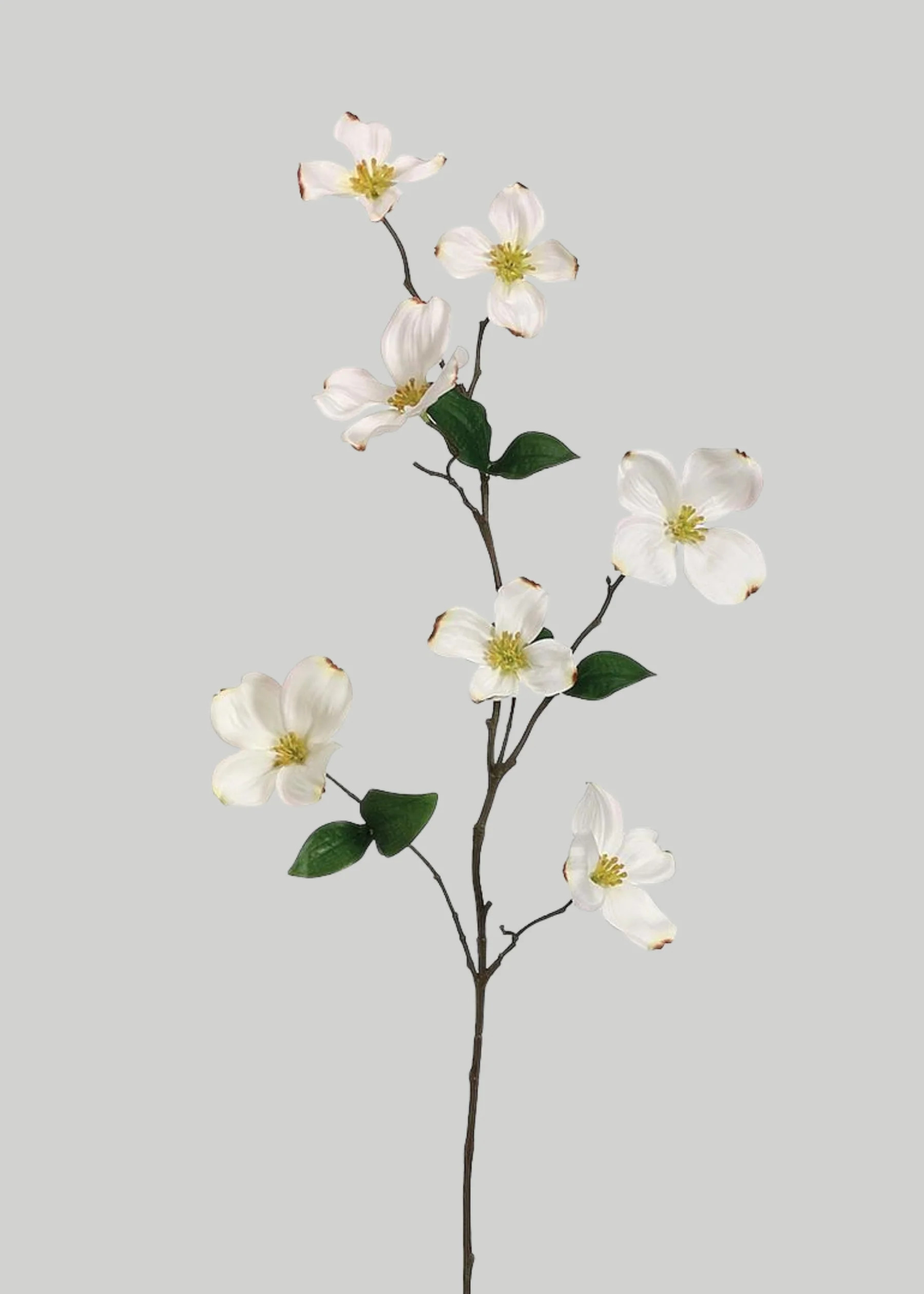 Cream Fake Dogwood Spring Flower Branch - 29" | Afloral