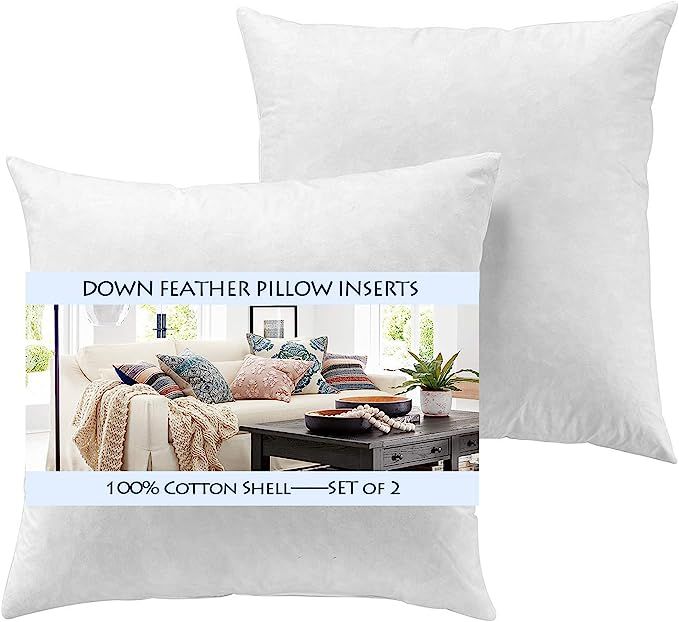Amazon.com: YesterdayHome Set of 2-18x18 Throw Pillow Inserts-Down Feather Pillow Inserts-White :... | Amazon (US)