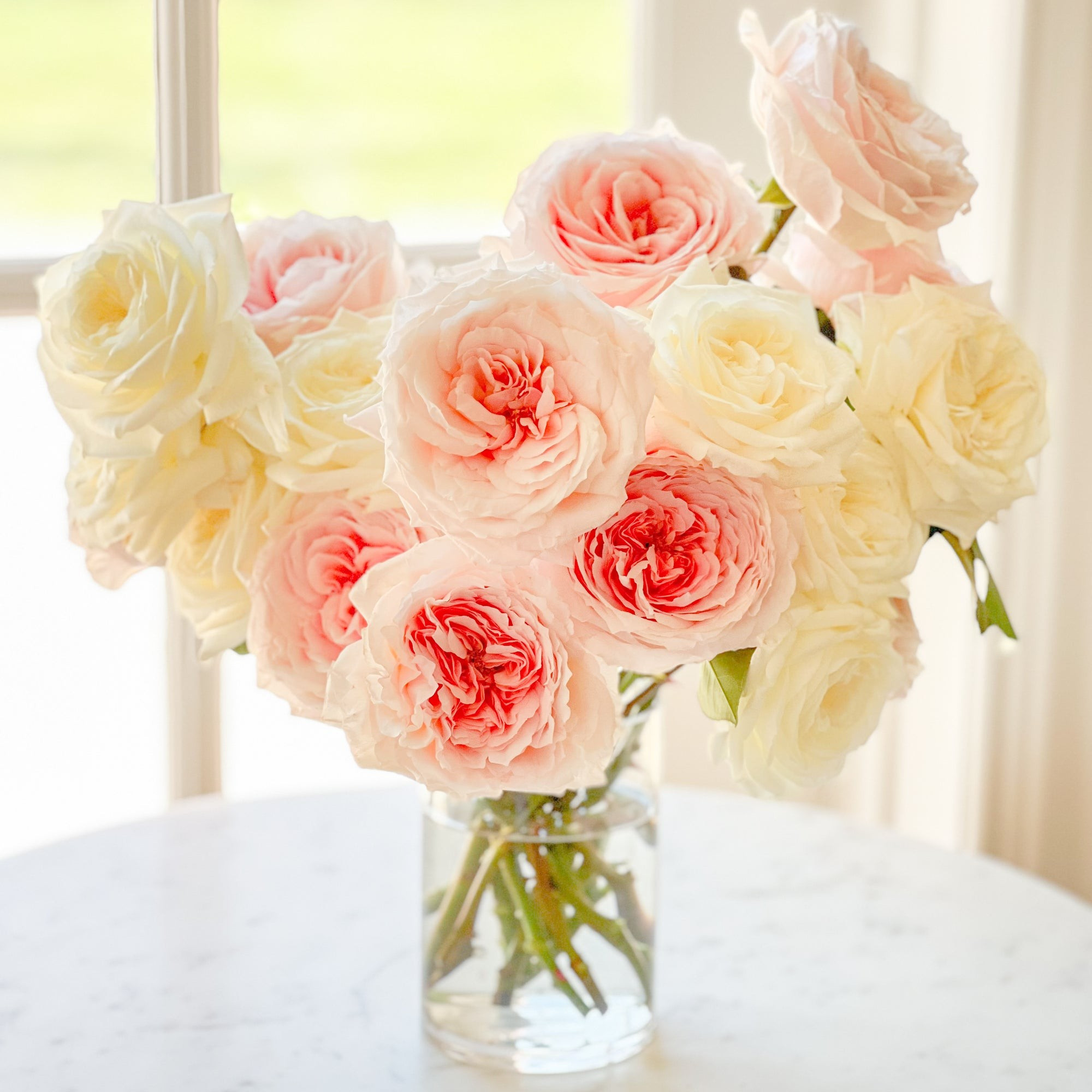 Kelli | Grace Rose Farm