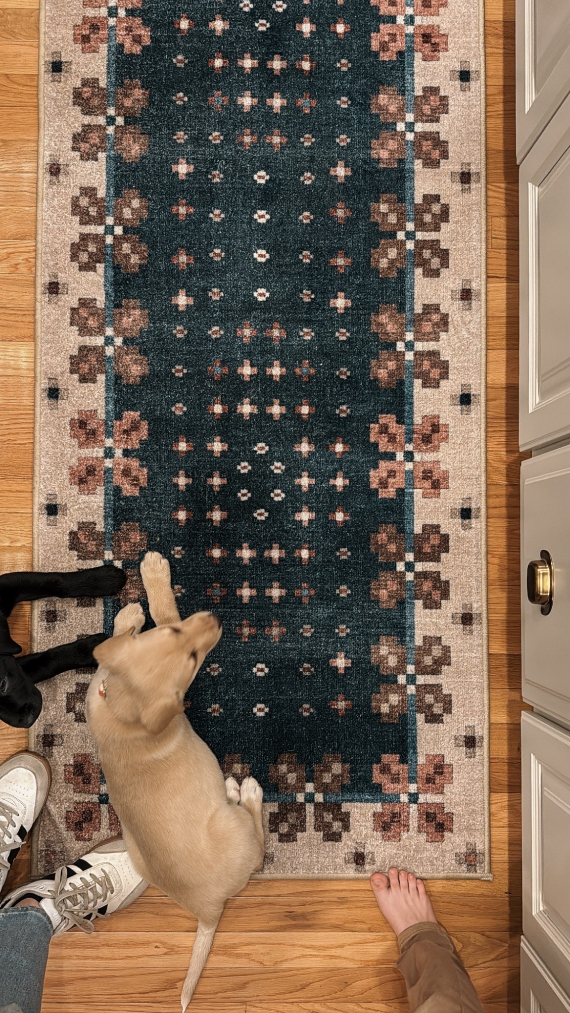 Loving this Scandi-floral rugs from Ruggable!

#LTKFindsUnder100 #LTKFindsUnder50 #LTKHome