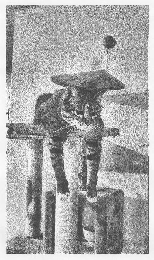 Instant Print Camera for Kids, Christmas Birthday Gifts for Girls Boys, HD Digital Video Cameras ... | Amazon (US)