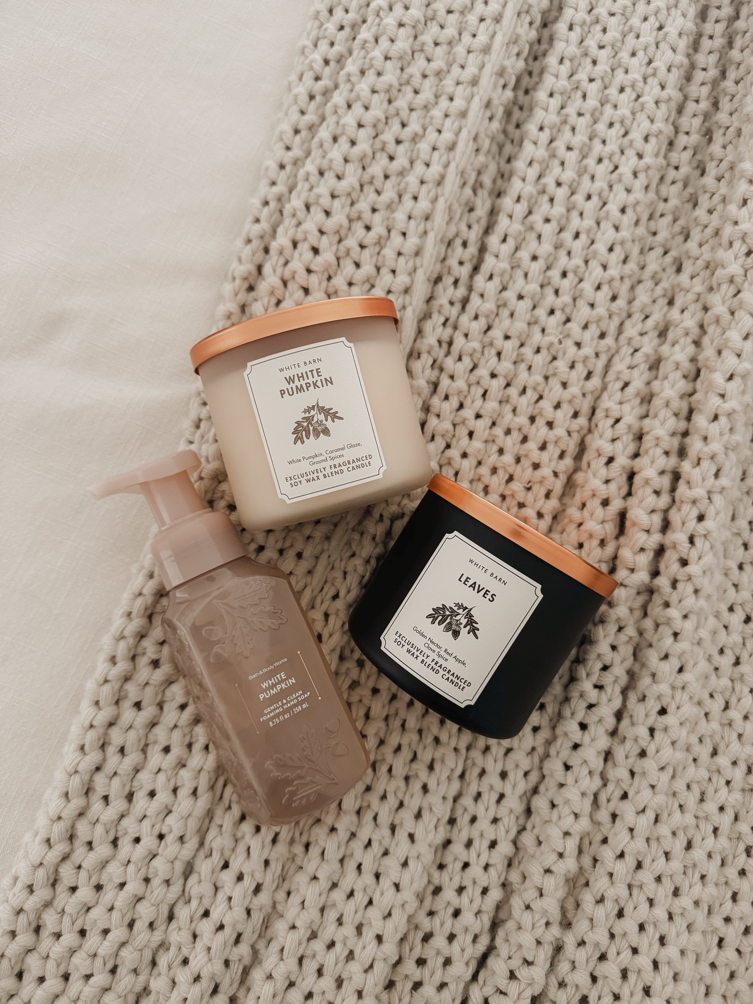Bath and body works fall haul 🤎🤍

#LTKHome #LTKSeasonal