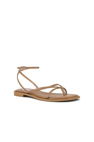 Steve Madden Agree Sandal in Tan from Revolve.com | Revolve Clothing (Global)