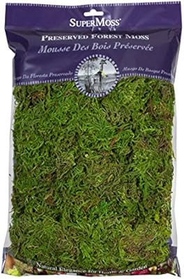 SuperMoss (25322) Forest Moss Preserved, Fresh Green, 8oz | Amazon (US)