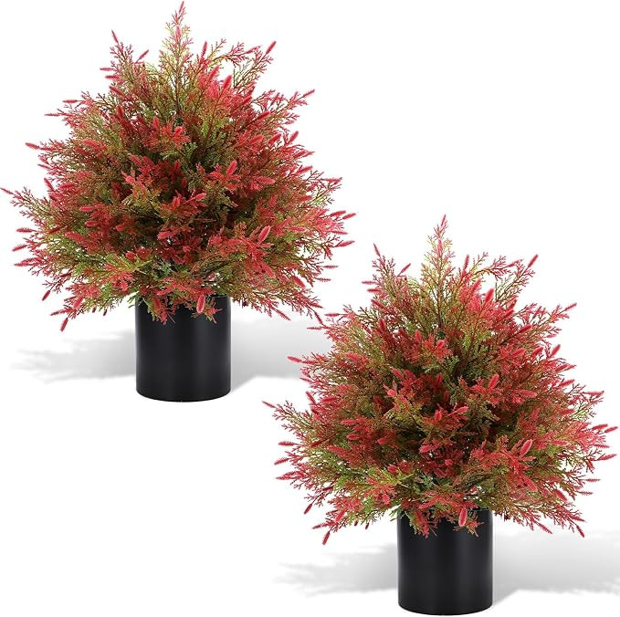 Artificial Fall Cedar Topiary Trees in Pot, 2 Pack UV Resistant Faux Greenery Shrubs, Fall Decora... | Amazon (US)