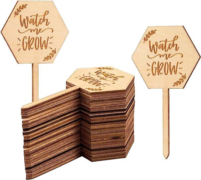 Watch Me Grow Succulent Tags Baby Shower Favors Gifts, PARBEE 20PCS Hexagon Plant Stakes Labels G... | Amazon (US)