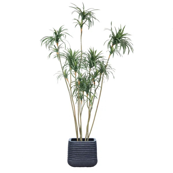 104.57'' Faux Dragon Tree Tree in Pot | Wayfair North America