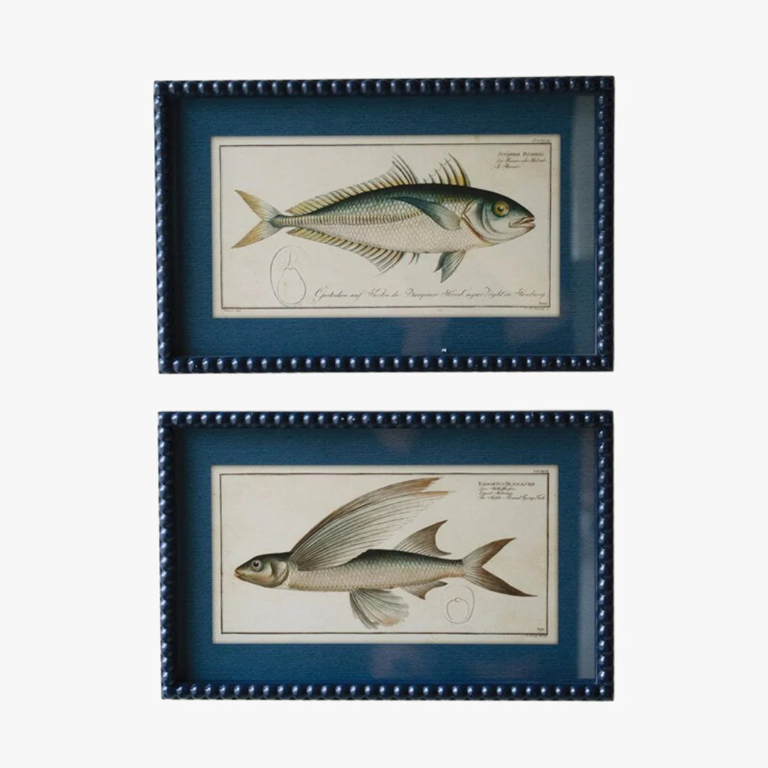 Framed Fish Prints | Dear Keaton