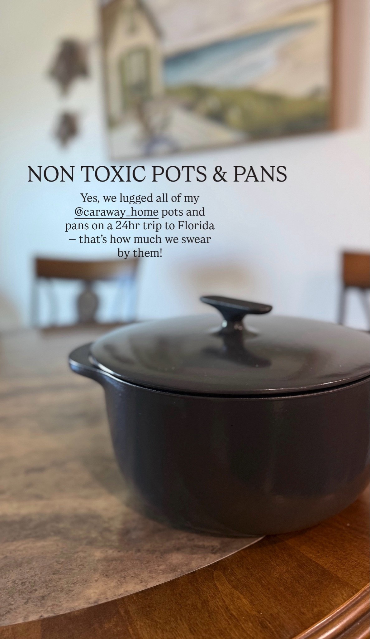 Non Toxic Cast Iron Caraway Dutch Oven with lifetime warranty! 

Yes, we travelled to Florida and brought our Dutch oven to cook our roasts in, as well as our non stick pots and pans from Caraway! 


Non stick, roast pan, can’t live without, kitchen finds, travel, vacation

#LTKhome