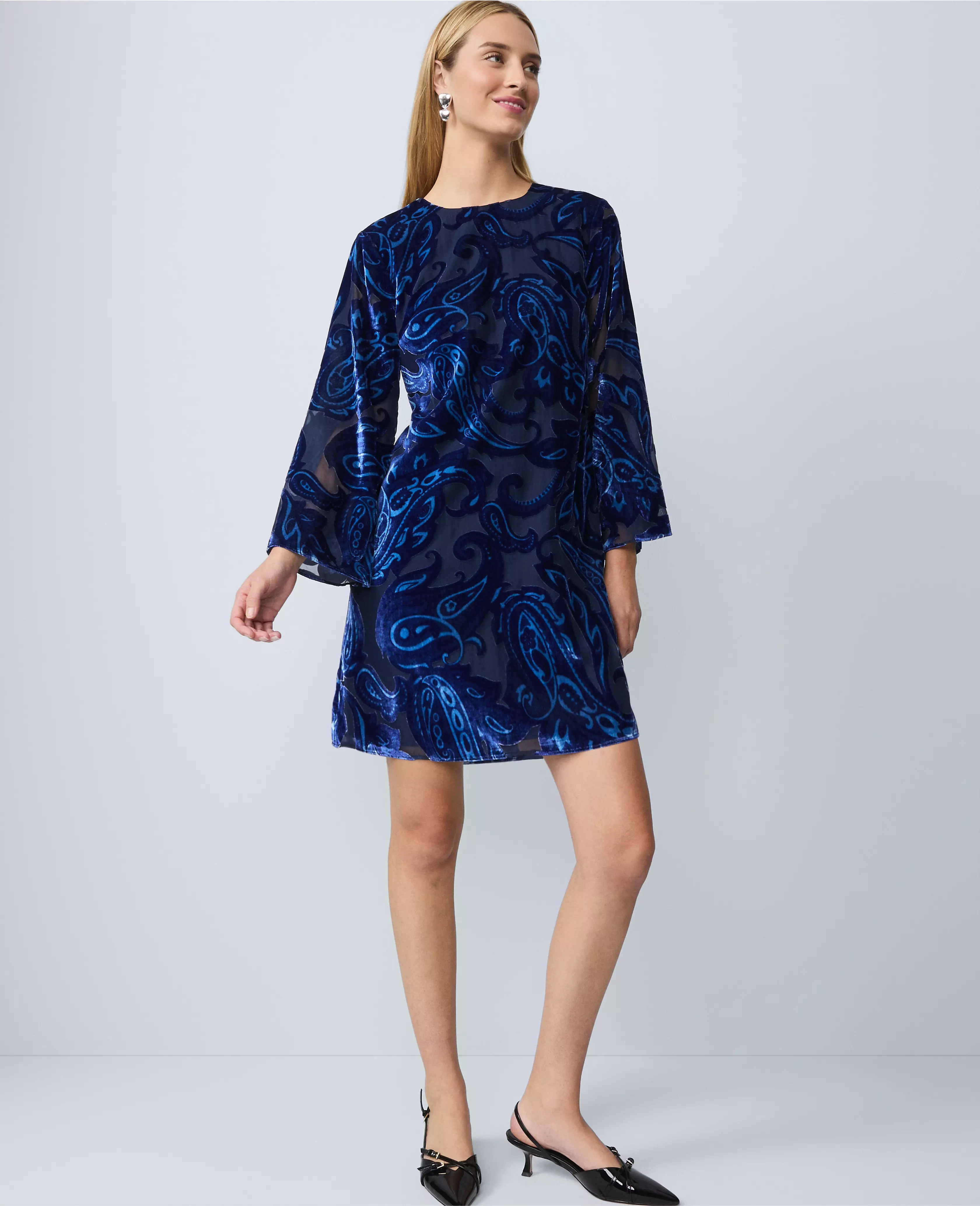 Studio Collection Velvet Paisley Shift Dress | Ann Taylor