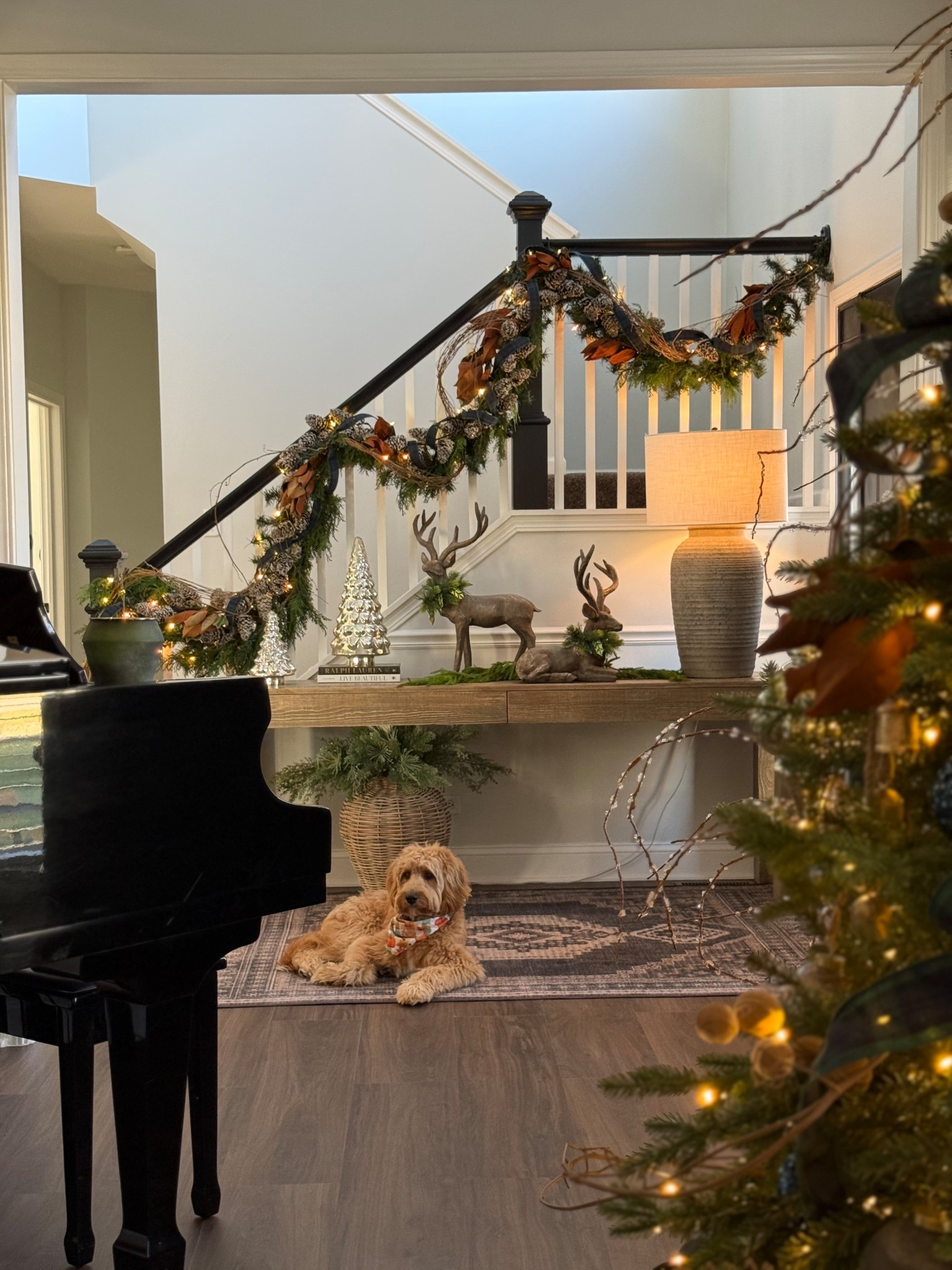 Festive today, timeless tomorrow! These pieces are currently on sale… washable rugs, arched glass cabinet, terracotta vase, art easel, counter stools and woven pedestal bowl!

#LTKSaleAlert #LTKHome #LTKFindsUnder100