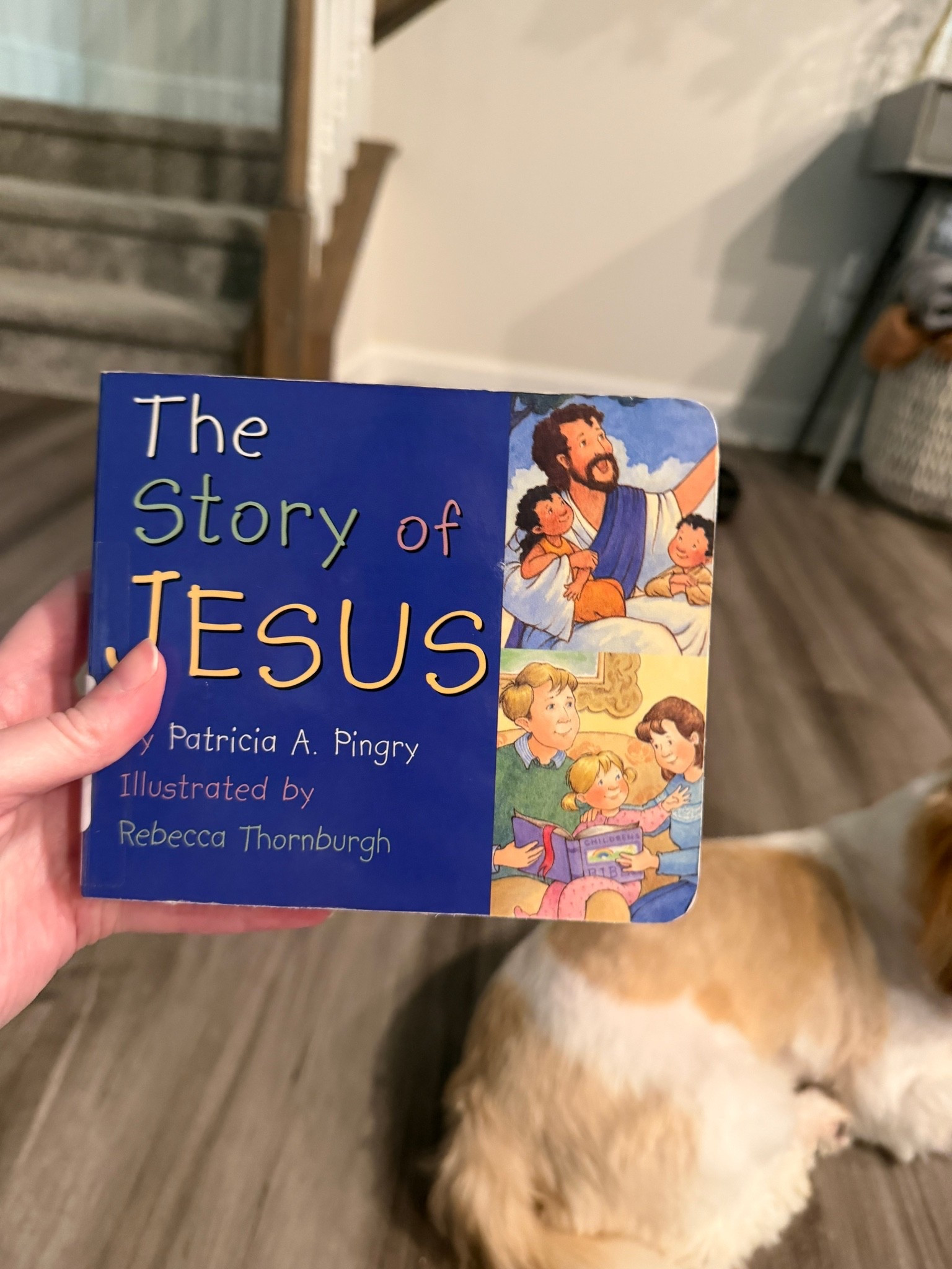 Book of the day!

#LTKBaby #LTKKids #LTKmomlife