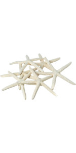 Cinnamon Broom - Cinnamon Scented 6in Mini Broomstick (1 Pack) - Decorative Broom for Door Protec... | Amazon (US)