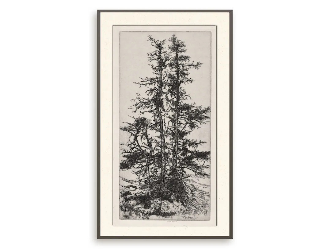 Vintage moss tree print, Antique botanical wall art, Printable tree drawing | Etsy (US)