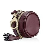 Itzy Ritzy Pacifier Case with Clip – Pacifier Charm Pod Includes Clasp to Easily Attach to a Diaper  | Amazon (US)