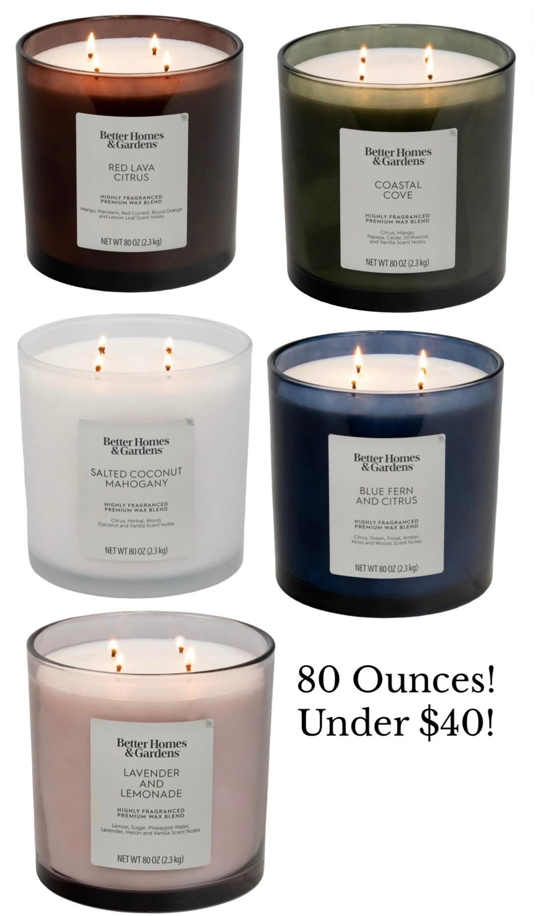 80 ounce candle under $40!!!!

#LTKHome #LTKWedding #LTKSeasonal