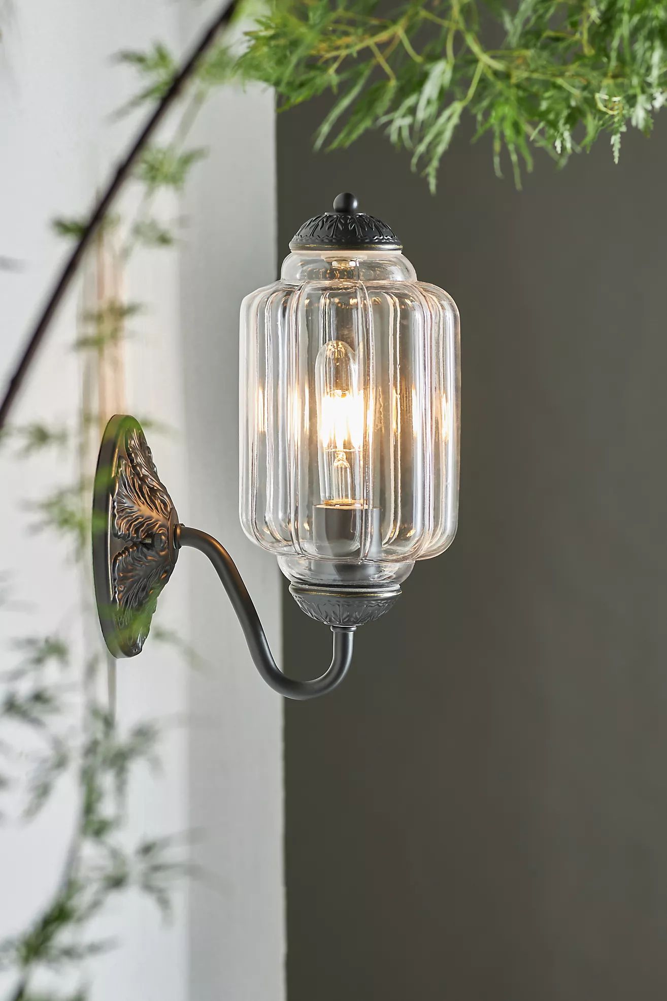 Eloise Outdoor Sconce | Anthropologie (US)