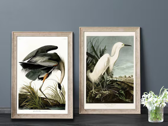 Great Blue Heron Heron Bird Snowy Heron White Egret | Etsy | Etsy (US)