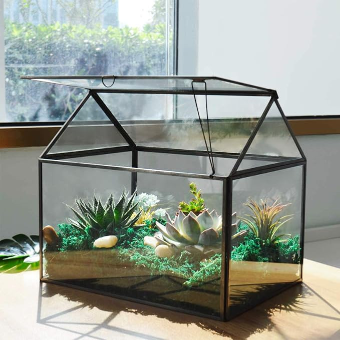 Large Glass Plant Terrarium – House Succulent Glass Terrarium Kit with Lip Glass Greenhouse Ter... | Amazon (US)