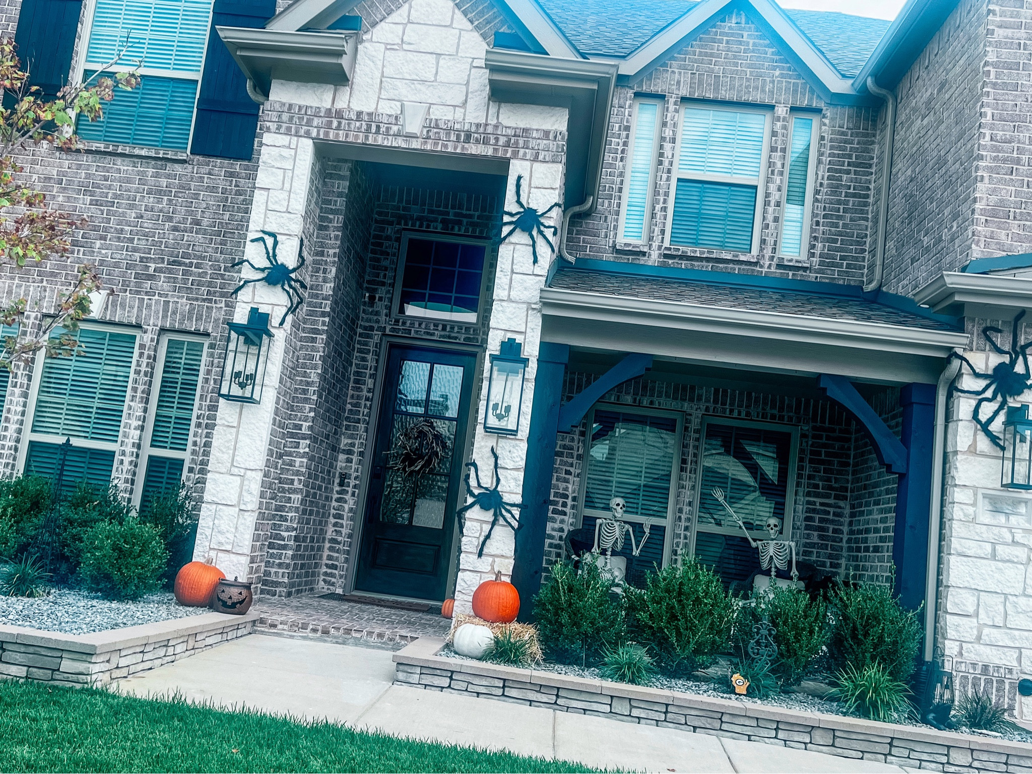 🕷️ Spiders, 💀 Skeletons, and 🎃 Pumpkins oh my!!!  

#LTKhome #LTKHalloween #LTKSeasonal