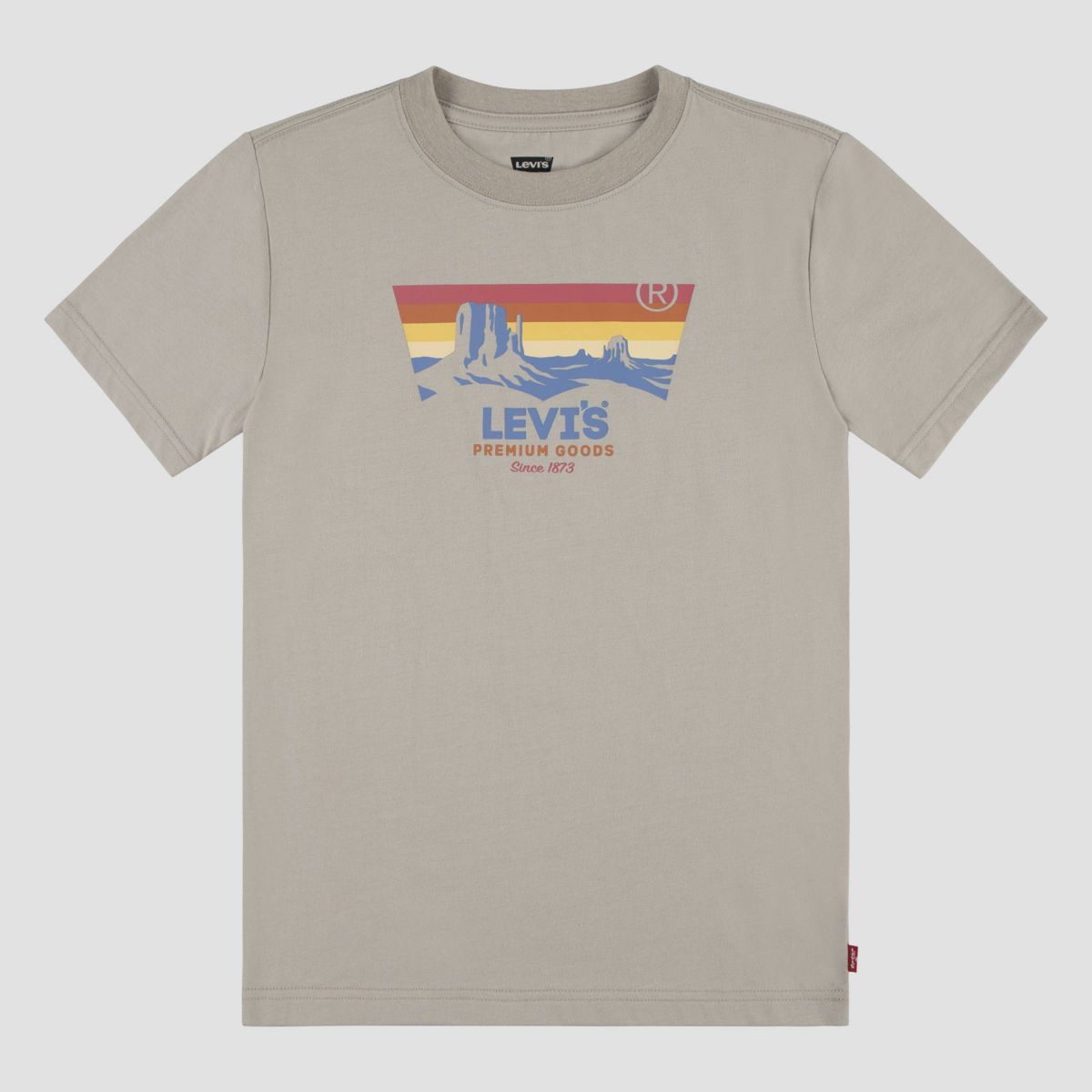Levi's® Boys' Short Sleeve Graphic T-Shirt | Target