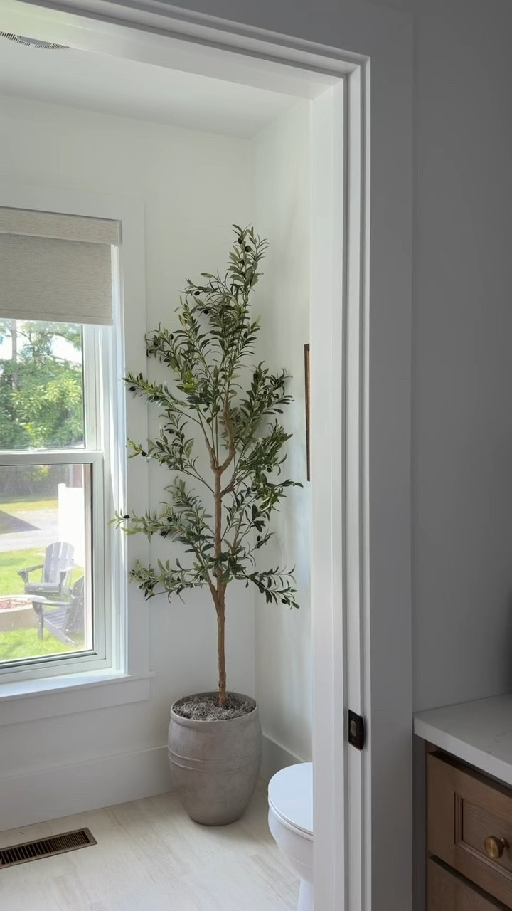 Every corner needs an olive tree! It brings such color & life to any space — Amazon has so many sizes to fit your size home! 

#Amazonhome