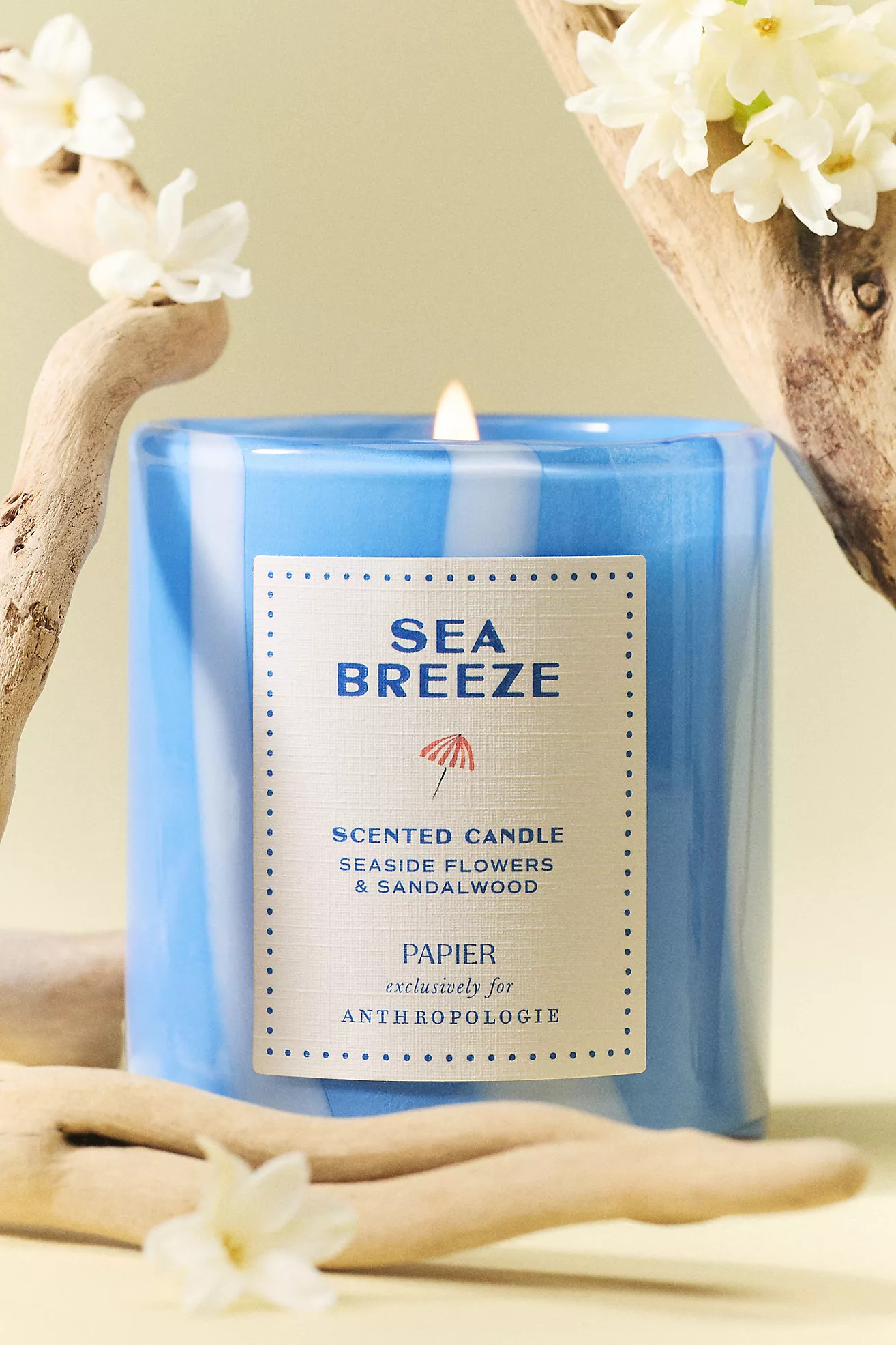 Papier x Anthropologie Floral Seaside Flowers & Sandalwood Boxed Glass Candle | Anthropologie (US)