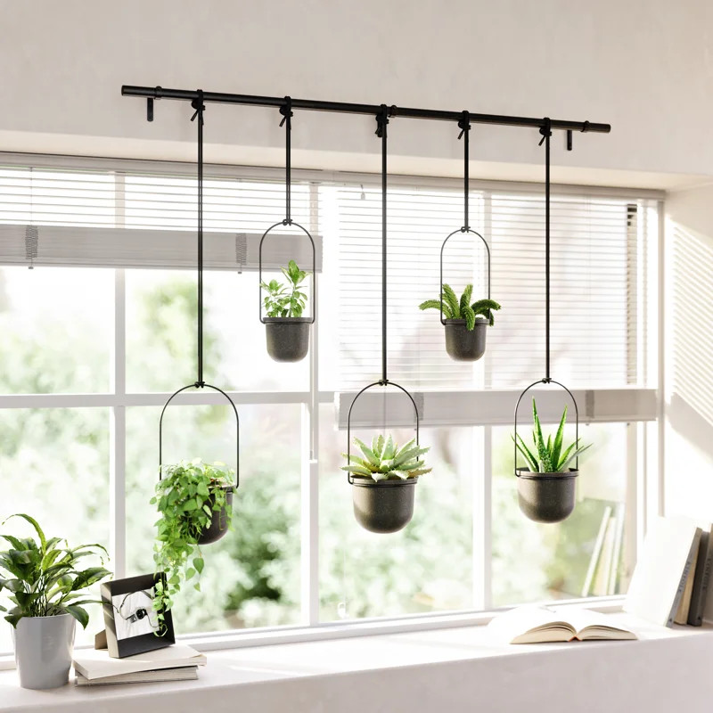 Umbra 5-Piece Plastic Hanging Planter Set & Reviews | Wayfair | Wayfair North America