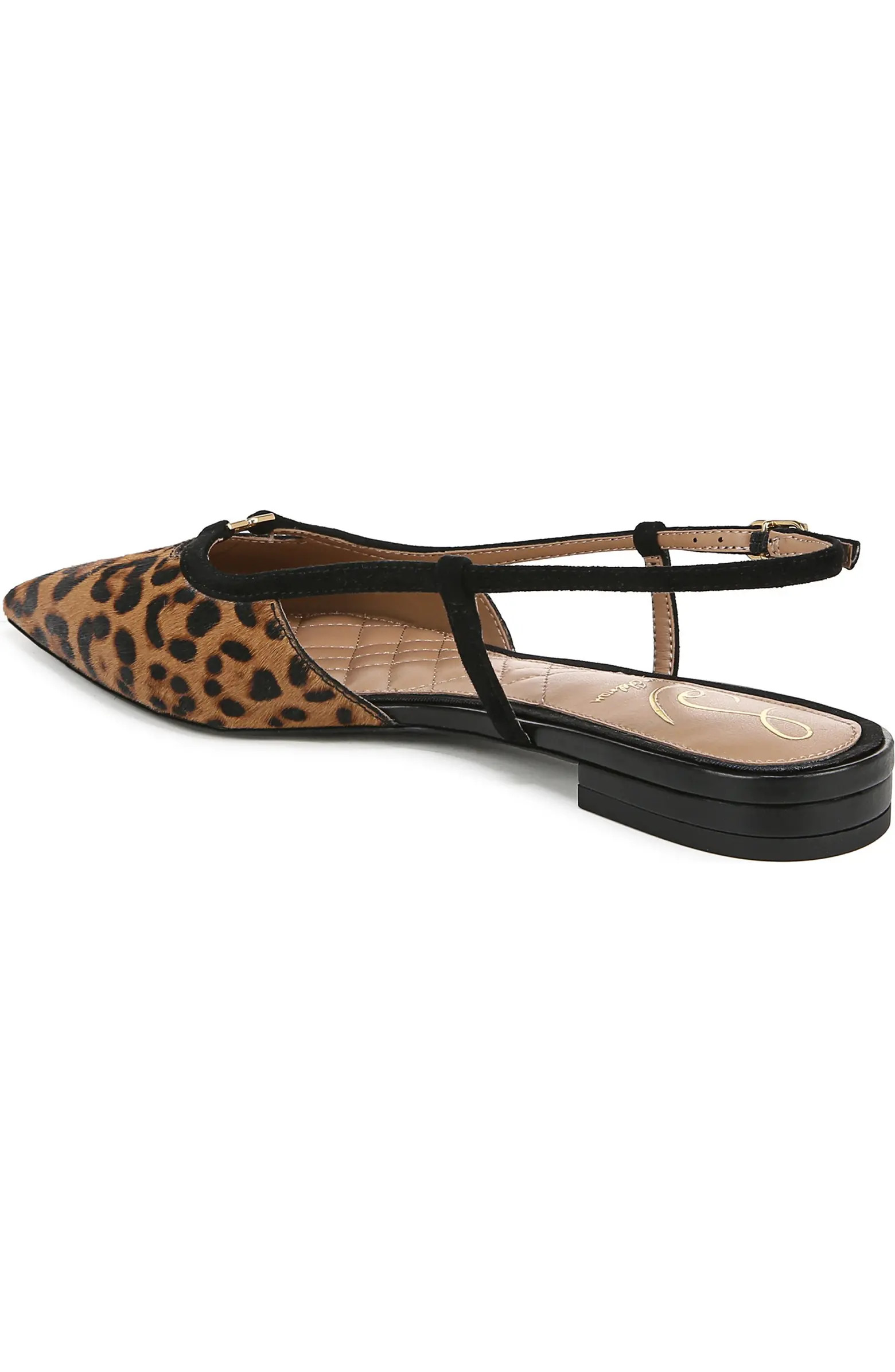 Cohen Pointed Toe Flat (Women) | Nordstrom