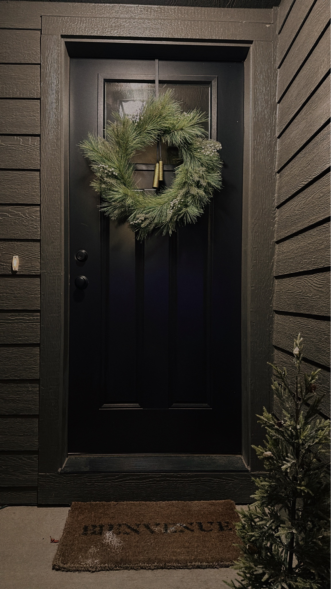 #LTKHoliday #LTKSeasonal #LTKCyberWeek