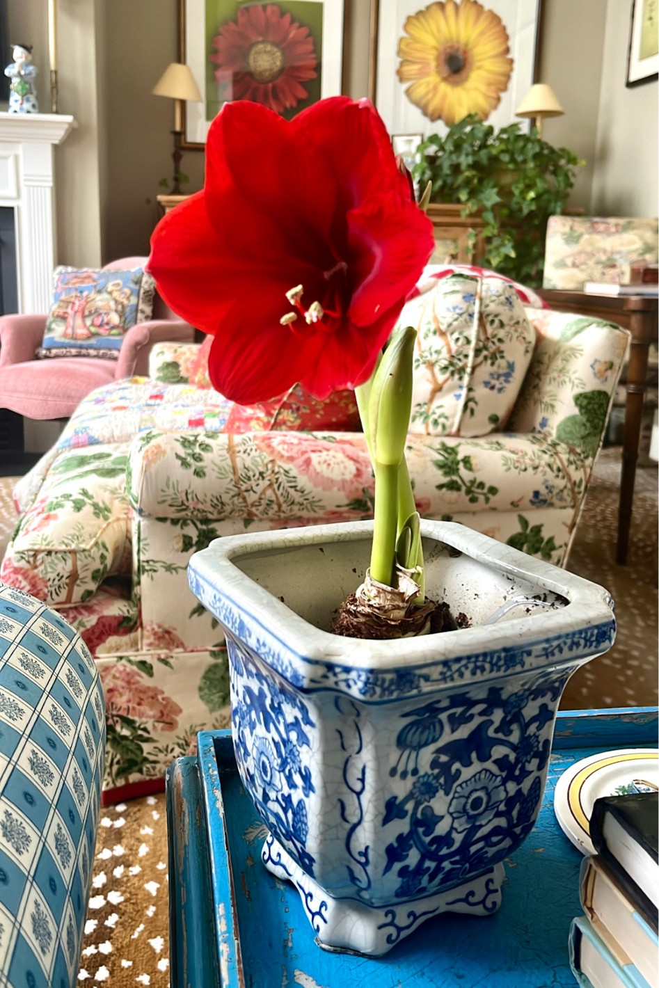 I try to collect a variety of cachepots and vases so I’m always ready for some new bulbs, plants or blooms. Blue and white and chinoiserie pieces are some of my faves because they tend to be so versatile. Found you some options to consider..

#LTKfindsunder50 #LTKhome #LTKstyletip
