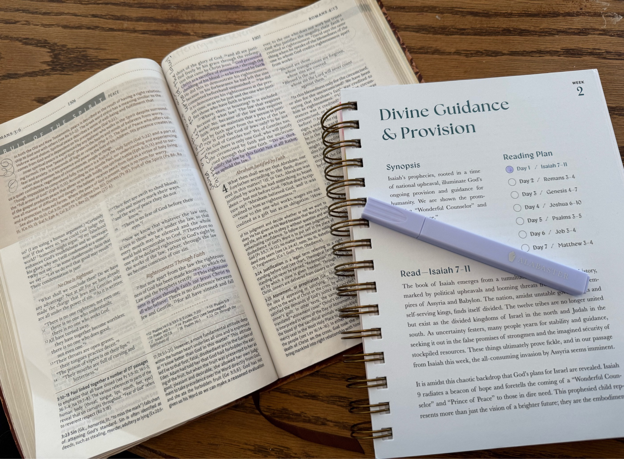 One of my 2025 goals is to through the whole Bible, I'm using the Alabaster Year in the Bible  🤍