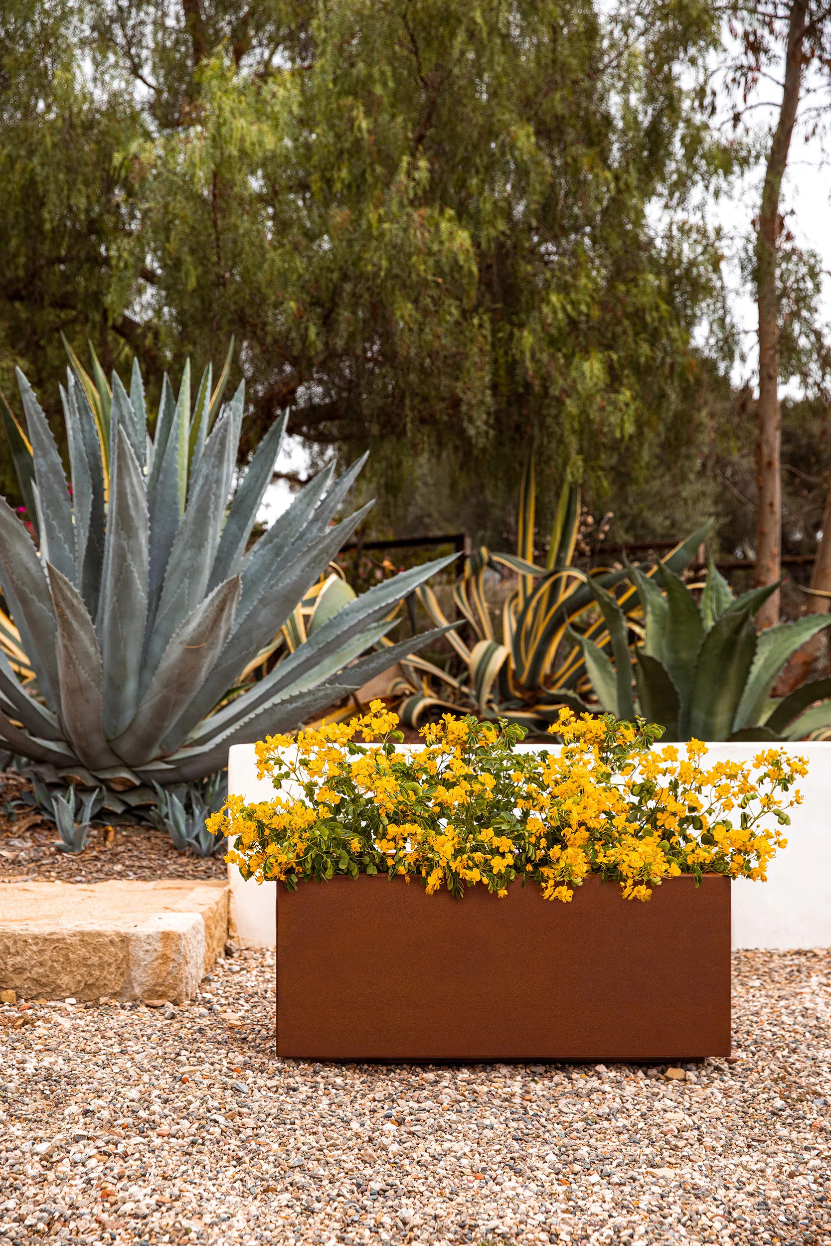 Veradek Corten Steel Series Long Box Planter & Reviews | Wayfair | Wayfair North America