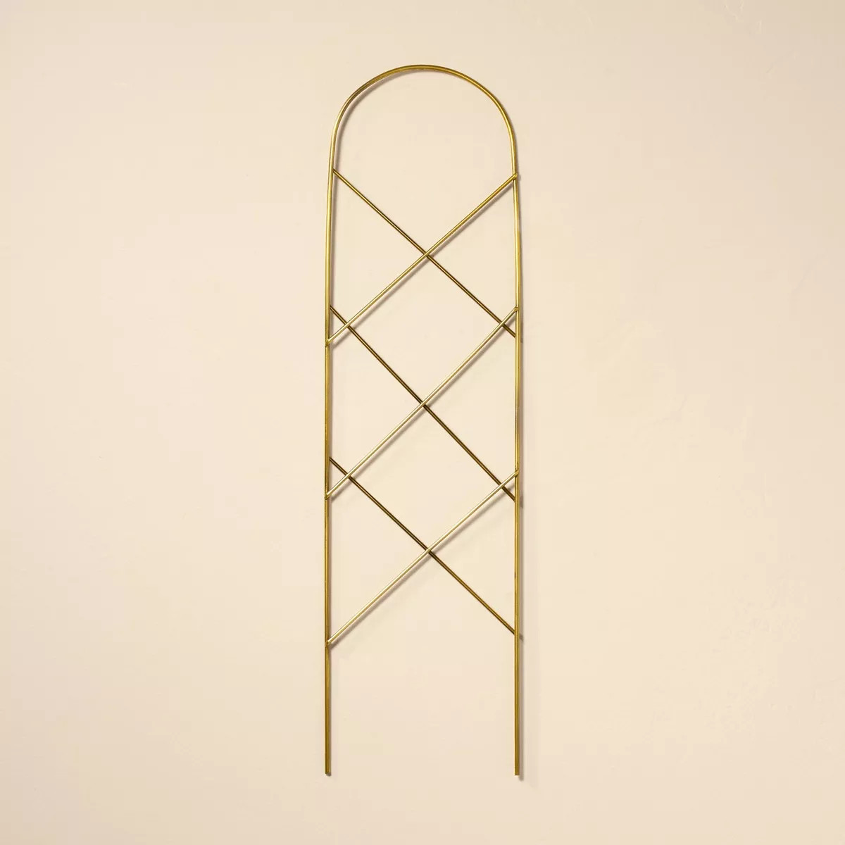 6"x22" Metal Plant Trellis Brass Finish - Hearth & Hand™ with Magnolia | Target