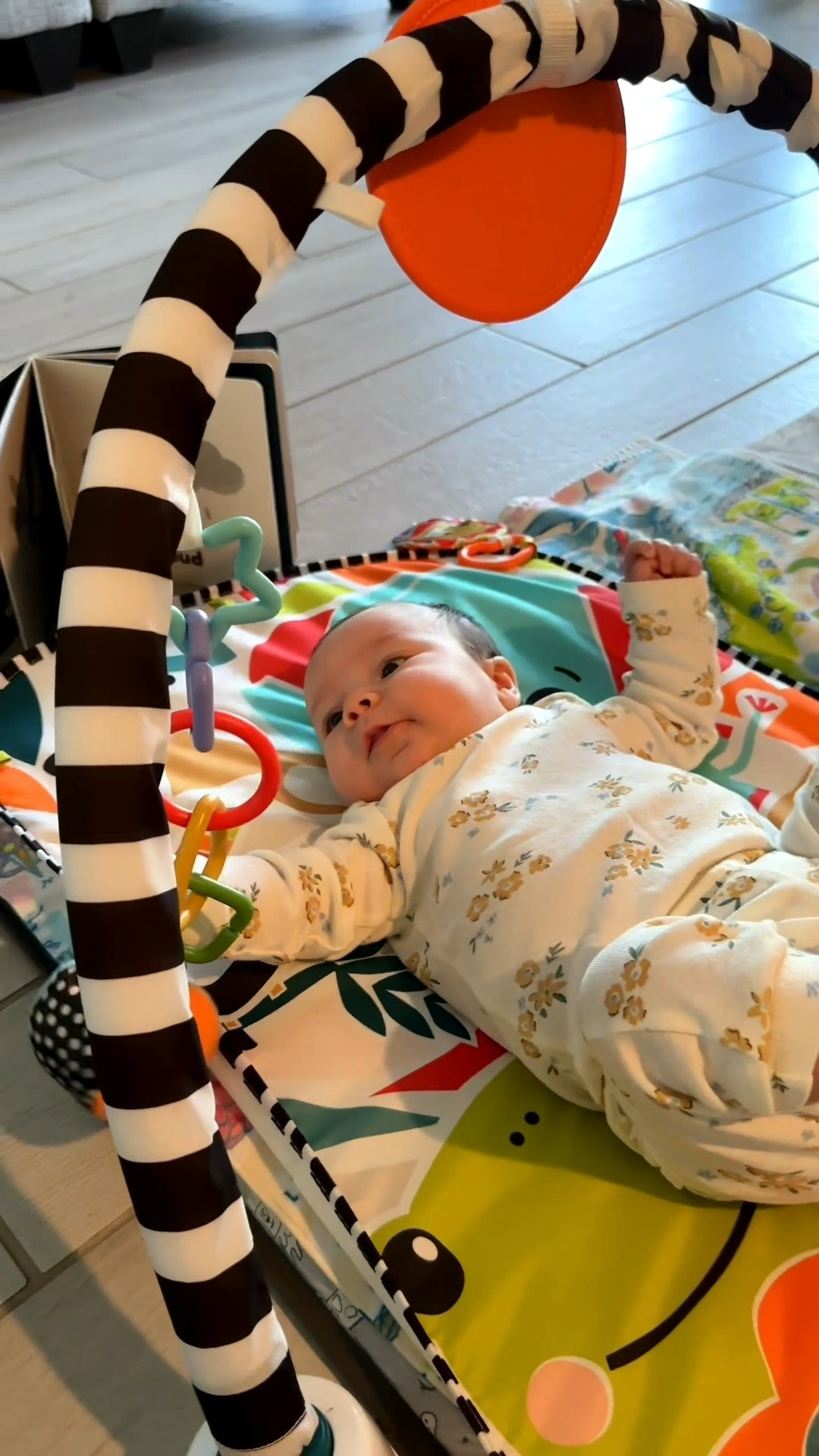 These are the items I use for play time with my 2 month old for brain development and motor skill development 

Sensory book
Play gym 
Baby toys 

#LTKBaby