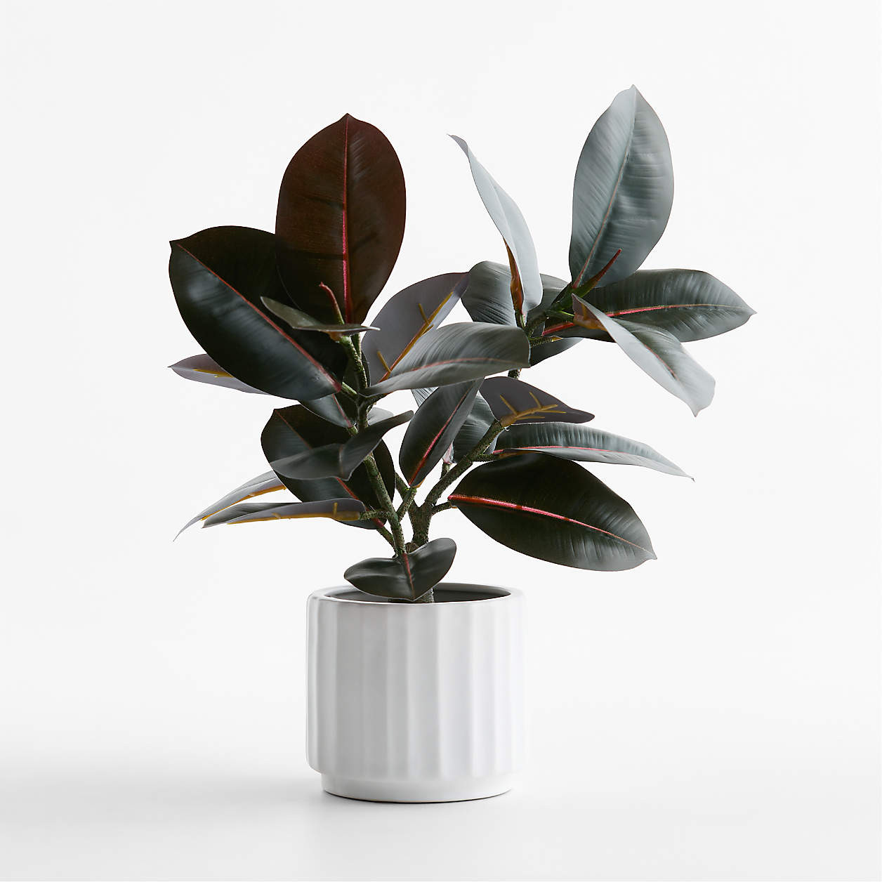 Potted Faux Rubber Tree 16" | Crate & Barrel | Crate & Barrel
